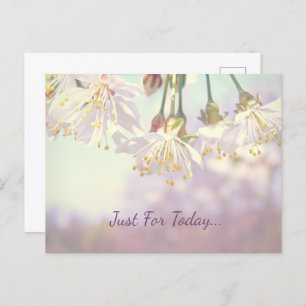 Just for today...  postcard