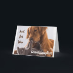 **JUST FOR YOU GRANDDAUGHTER** BIRTHDAY IS SPECIAL CARD<br><div class="desc">THANK YOU FOR STOPPING BY ONE OF MY EIGHT STORES!</div>