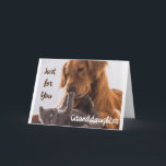 **JUST FOR YOU GRANDDAUGHTER** BIRTHDAY IS SPECIAL CARD<br><div class="desc">THANK YOU FOR STOPPING BY ONE OF MY EIGHT STORES!</div>