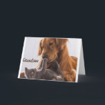 ***JUST FOR YOU GRANDSON*** BIRTHDAY IS SPECIAL CARD<br><div class="desc">THANK YOU FOR STOPPING BY ONE OF MY EIGHT STORES!</div>