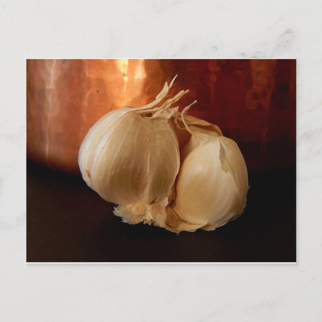 Just Garlic Postcard (Front)