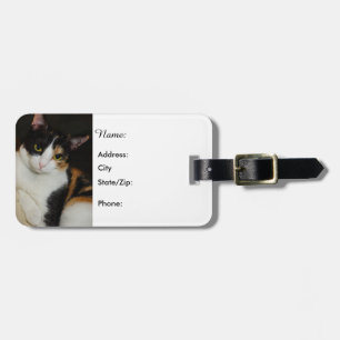 Just Hanging Around Luggage Tag