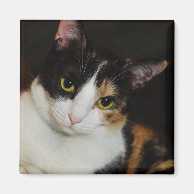 Just Hanging Around Magnet (Front)