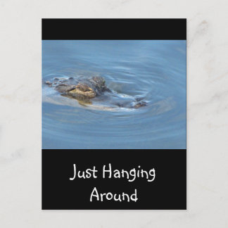 Just Hanging Around Postcard
