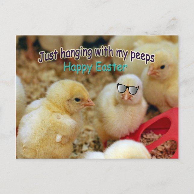 Just Hanging with my Peeps Postcard (Front)