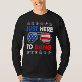 Just Here To Bang 4th Of July Fireworks Sunglasses T-Shirt