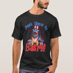 Just Here To Bang Funny Fourth Of July 4Th Of July T-Shirt