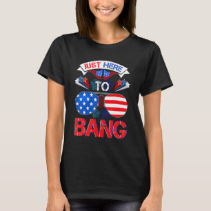 Just Here To Bang Sunglasses Usa Flag Patriotic 4t T-Shirt