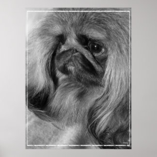 Just Jeroen Poster