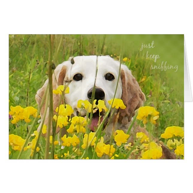just keep sniffing beagle peeking in wildflowers (Front Horizontal)