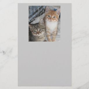 Just Kittens Stationery