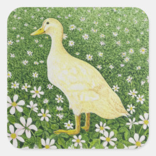 Just Looking Square Sticker