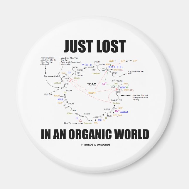 Just Lost In An Organic World (Krebs Cycle Humour) Magnet (Front)