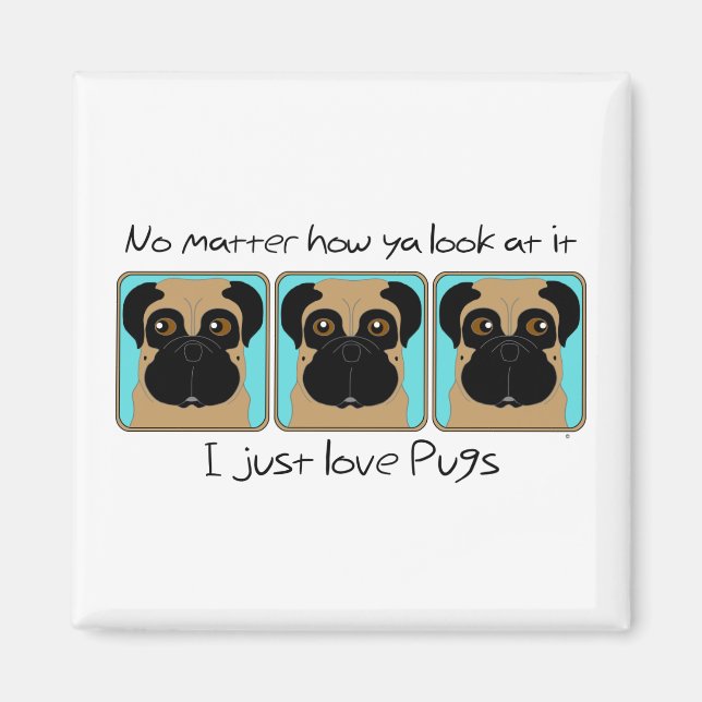 Just Love Pugs Quote and Funny Pugs Looking Around Magnet (Front)