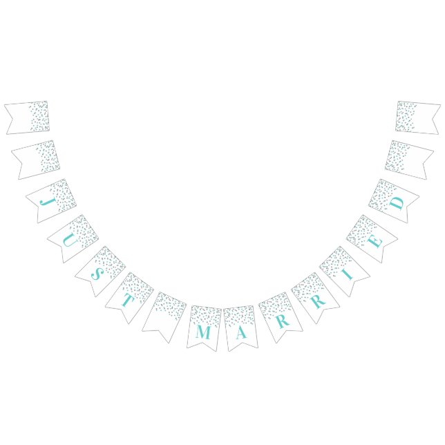 Just Married Banner Light Blue Silver Confetti (All)