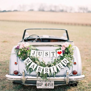 Just Married Car Banner