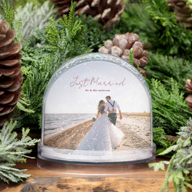Just Married Christmas Greetings Customize Photo Snowglobe (Winter)