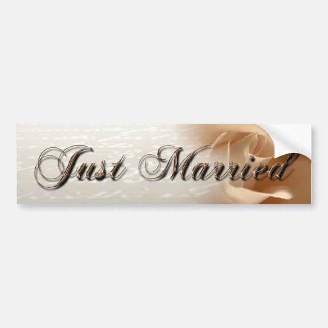 Just Married Cream Rose Bumper Sticker (Front)
