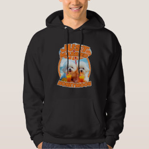 Just Married Cute Dog Honeymoon Couple Hoodie