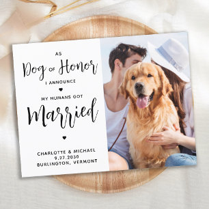 Just Married Dog of Honour Dog Wedding Announcement Postcard