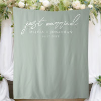 Just Married Elegant Calligraphy Wedding Backdrop