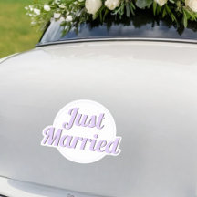 Just Married Newlyweds Wedding Car Elegant Cute