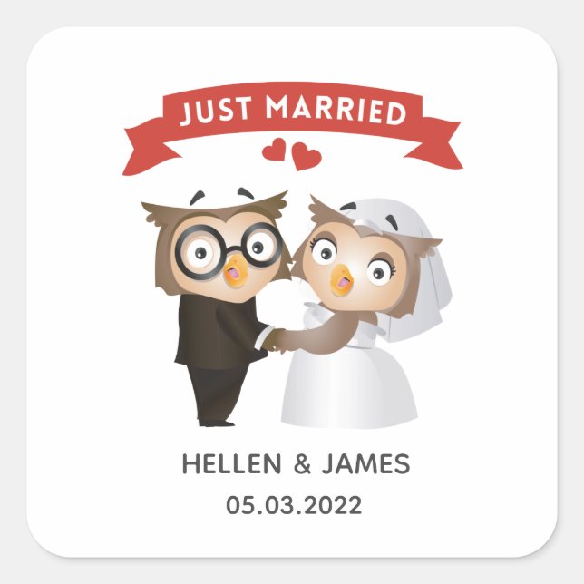 Just Married Owl Wedding  Square Sticker (Front)