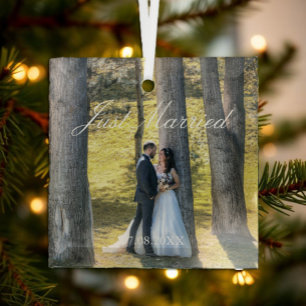 Just Married Photo Glass Tree Decoration