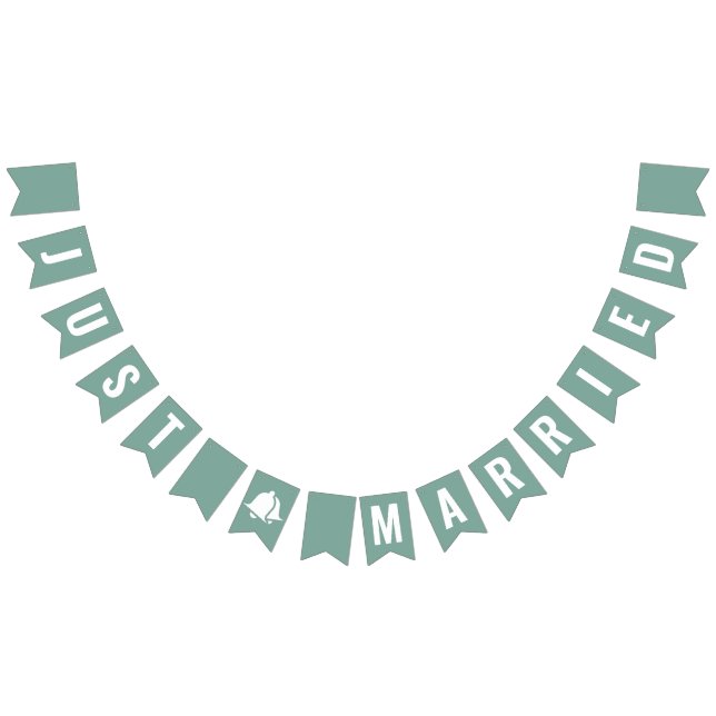 Just Married Sage Green Boho Bunting Flags (All)