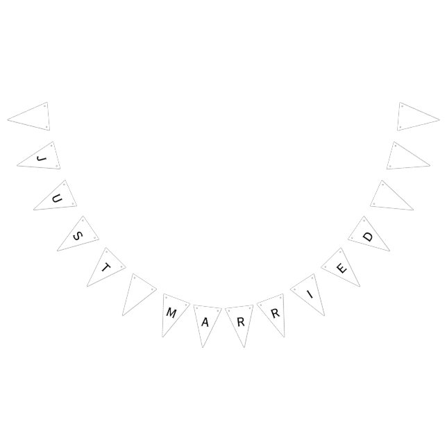 Just Married Wedding Banner (All)