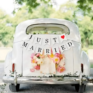 Just Married Wedding Send-Off Car Decorations  Bunting