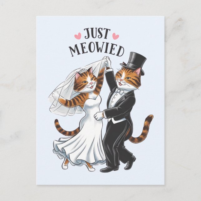 Just Meowied Married Couples Cat Funny Wedding Postcard (Front)