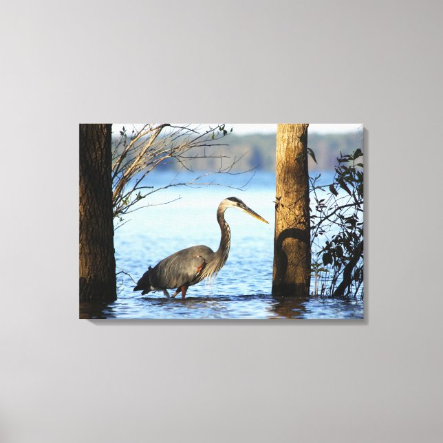Just Missed - Kerr Lake Canvas Print (Front)