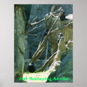 Just Monkeying Around Poster