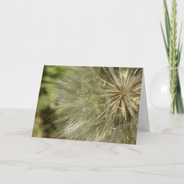 Just One Wish Greeting Card (Front)