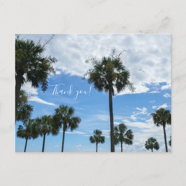 Just Palm Trees Thank You Postcard (Front)