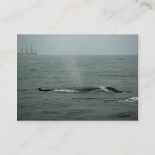 Just Passing By Mini Print Business Card