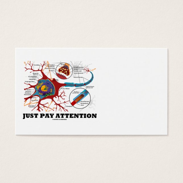 Just Pay Attention (Neuron / Synapse) (Front)