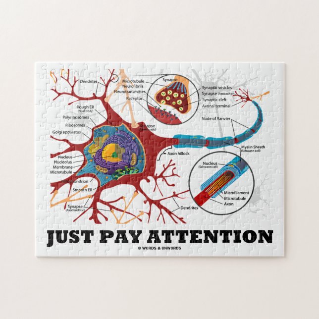 Just Pay Attention (Neuron / Synapse) Jigsaw Puzzle (Horizontal)