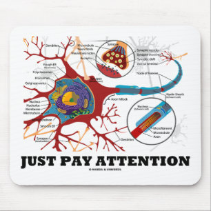 Just Pay Attention (Neuron / Synapse) Mouse Pad