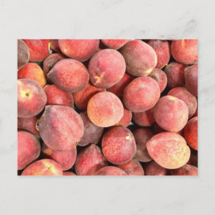 Just Peachy Postcard
