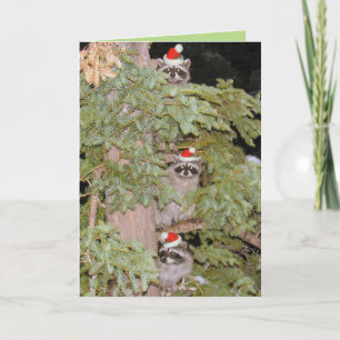 Just peeking in ... holiday card
