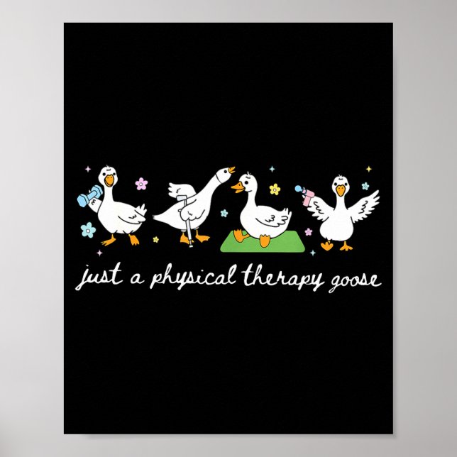 Just Physical Therapy Goose Pt Physical Poster (Front)