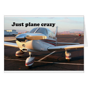 Just plane crazy: aircraft, Page, Arizona, USA 13