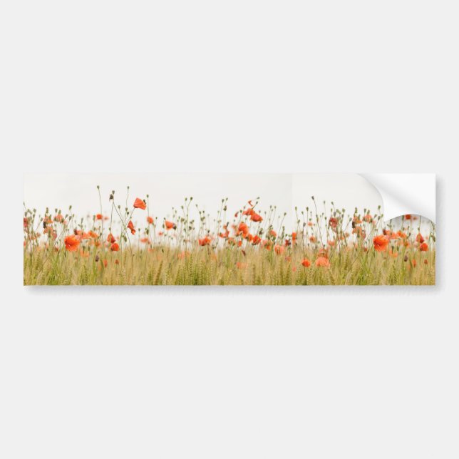 Just Poppies | Pretty Floral Photo Bumper Sticker (Front)
