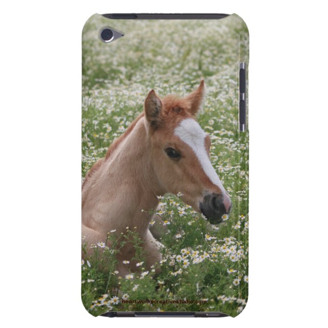 Just Resting iPod Case-Mate Case (Back)