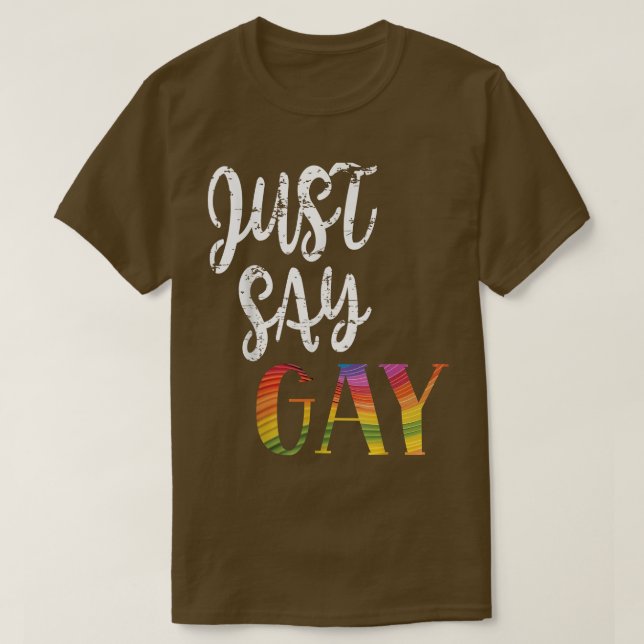 Just say gay It's Okay To Say Gay LGBTQ Florida Pr T-Shirt (Design Front)