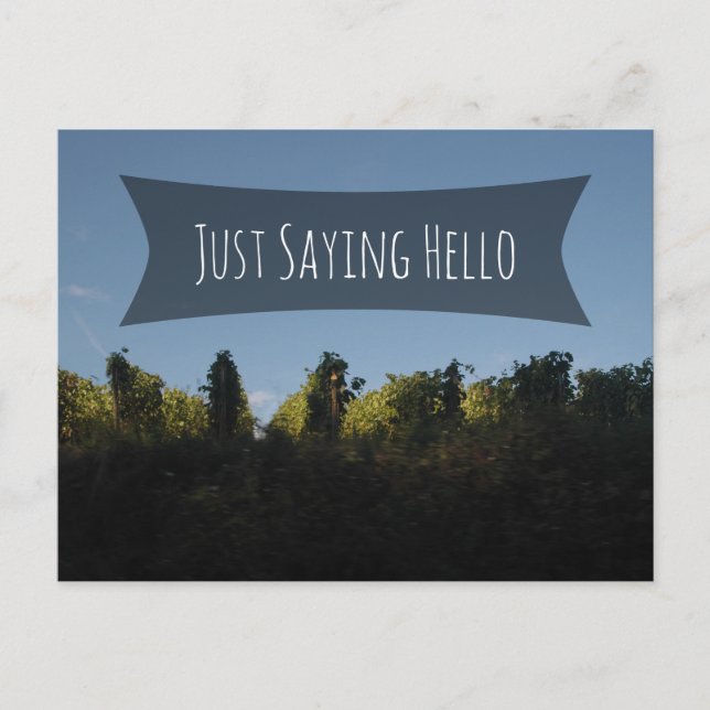 "Just Saying Hello" Over Photo, Rows of Grapevines Postcard (Front)