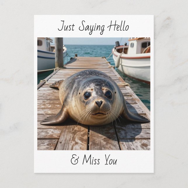 Just Saying Hi | Keeping in Touch Cute Seal Postcard (Front)