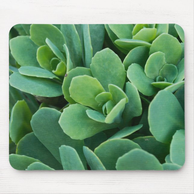 Just Sedum Mouse Pad (Front)
